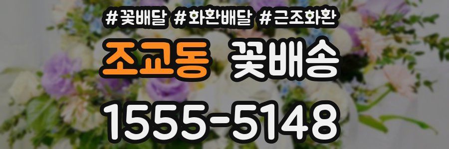 조교동 꽃배송
