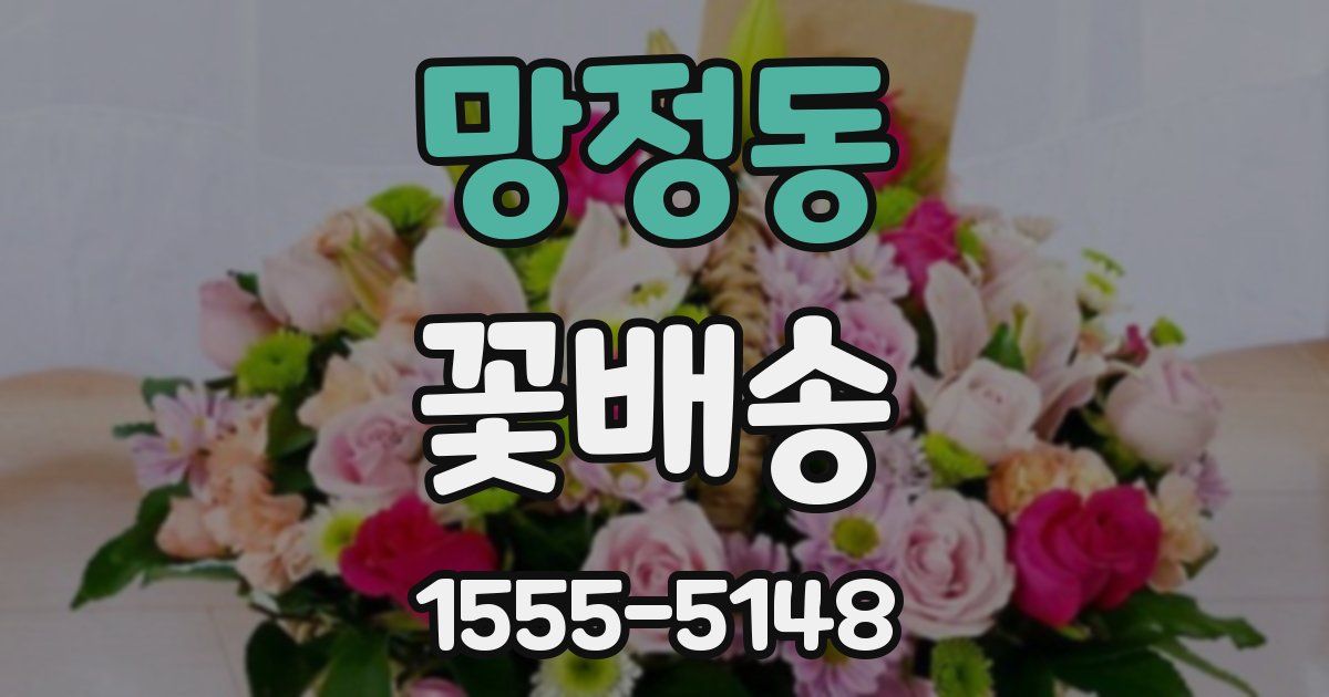 망정동 꽃배송