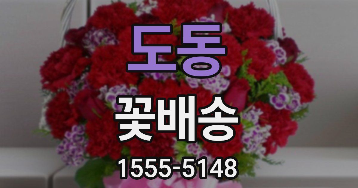 도동 꽃배송
