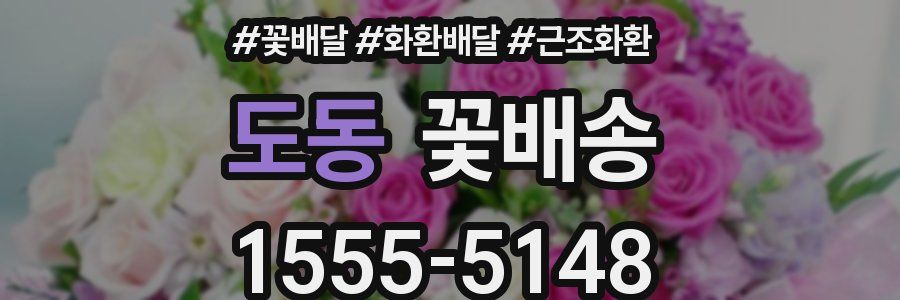 도동 꽃배송
