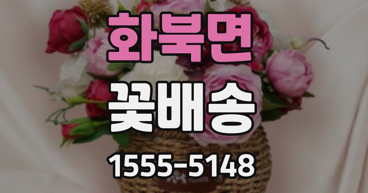 화북면 꽃배송