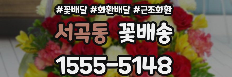 서곡동 꽃배송