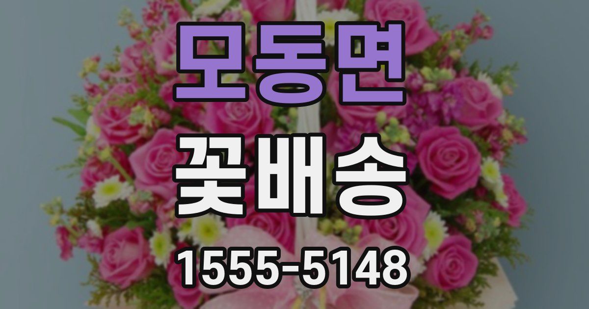 모동면 꽃배송