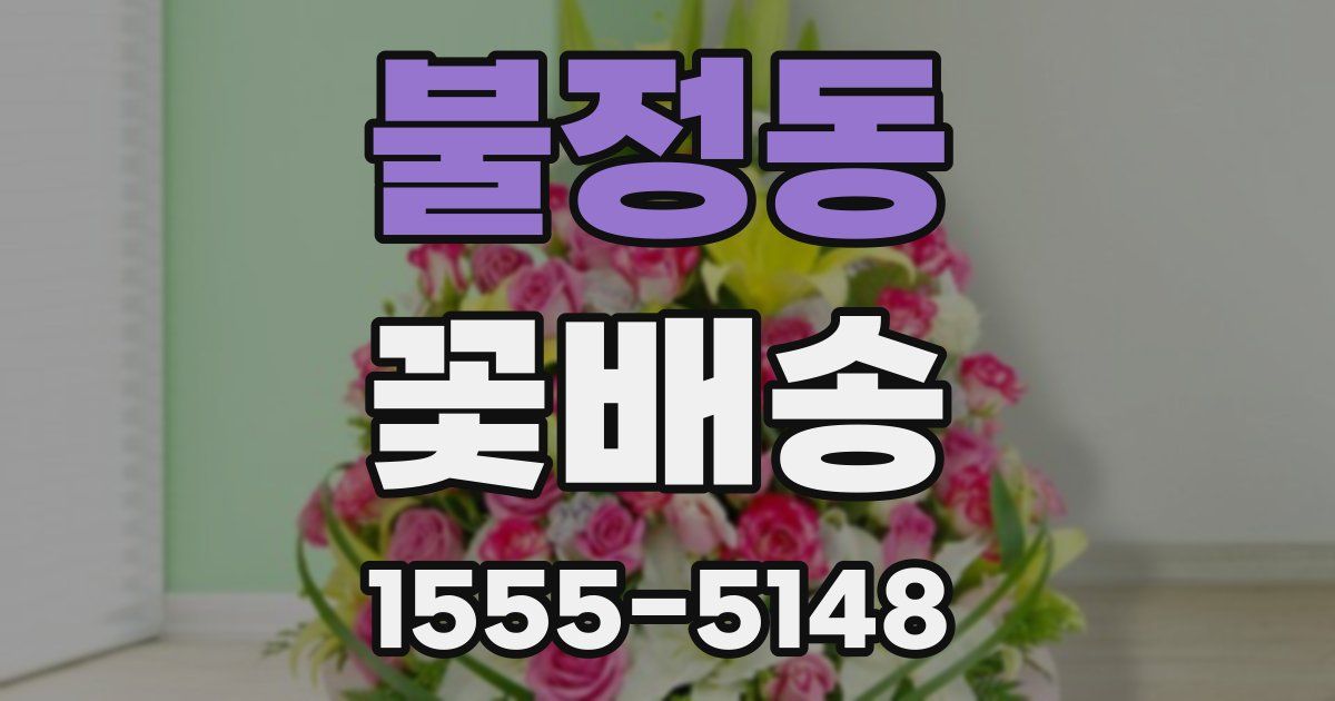 불정동 꽃배송