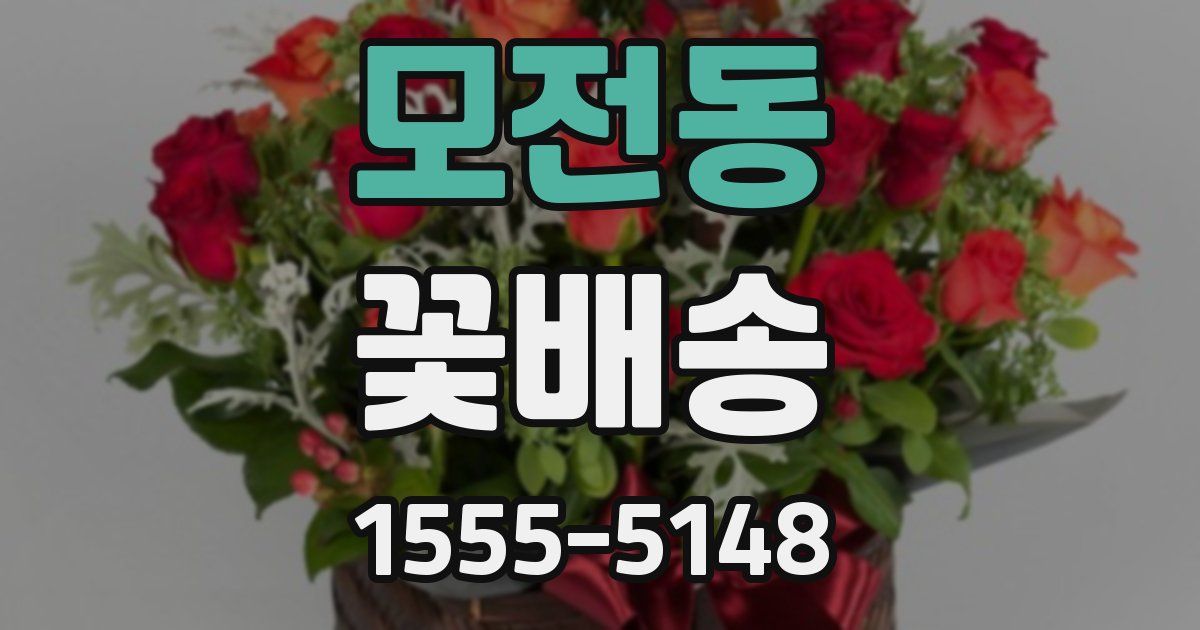 모전동 꽃배송