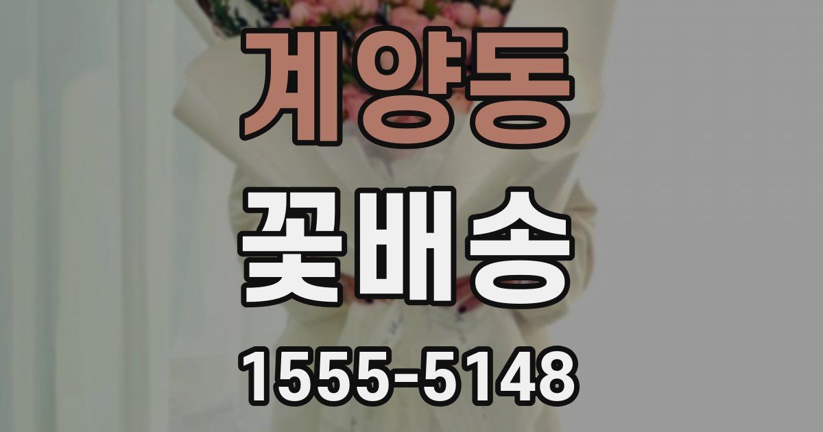 계양동 꽃배송