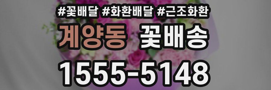 계양동 꽃배송