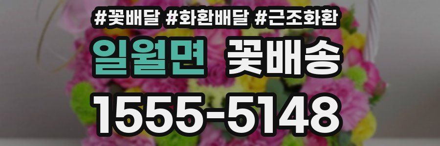 일월면 꽃배송