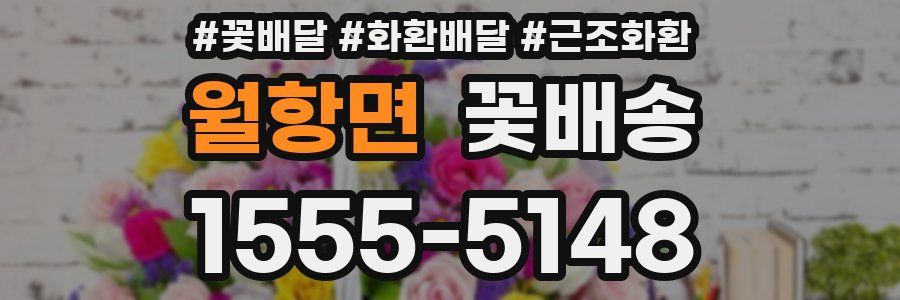 월항면 꽃배송