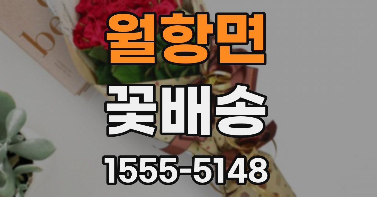 월항면 꽃배송