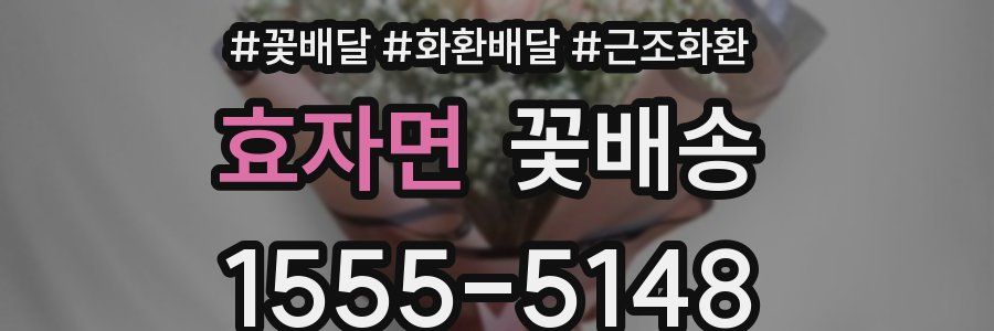 효자면 꽃배송