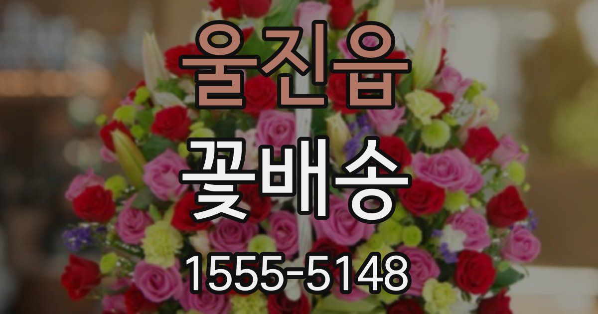 울진읍 꽃배송