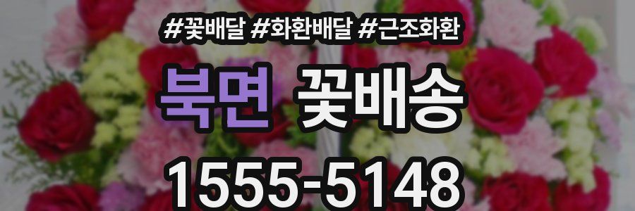 북면 꽃배송