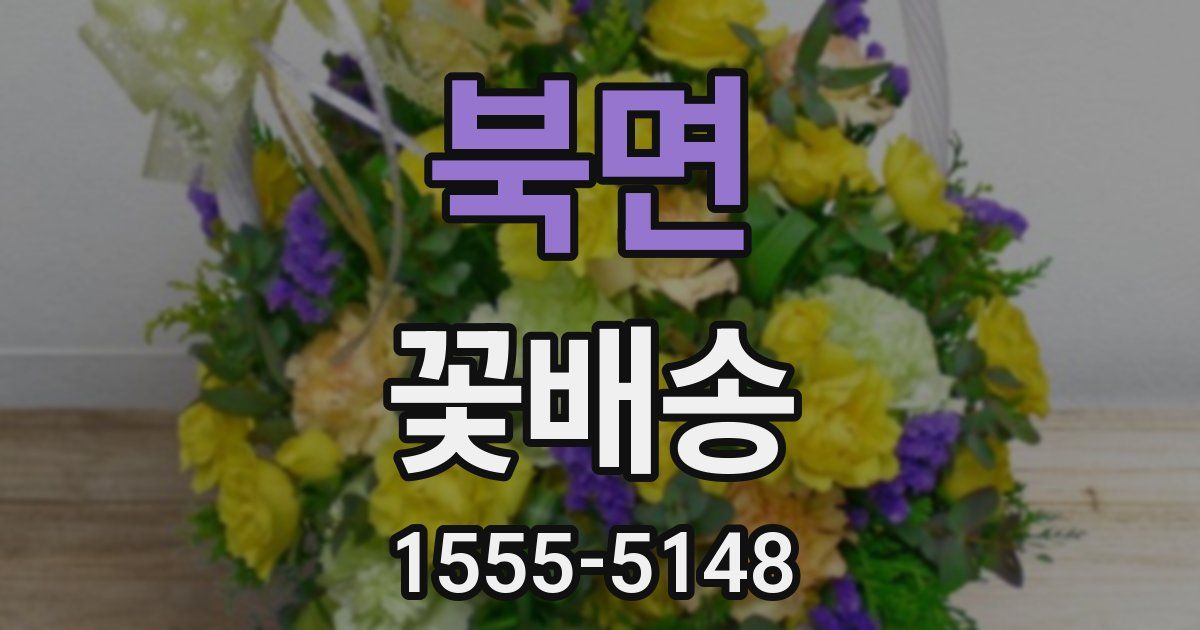 북면 꽃배송