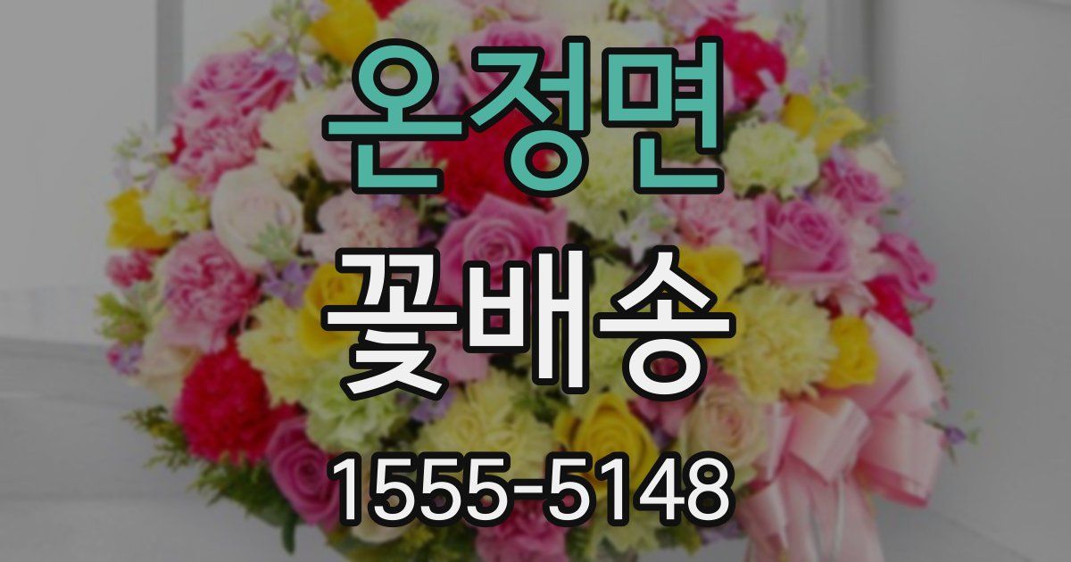 온정면 꽃배송