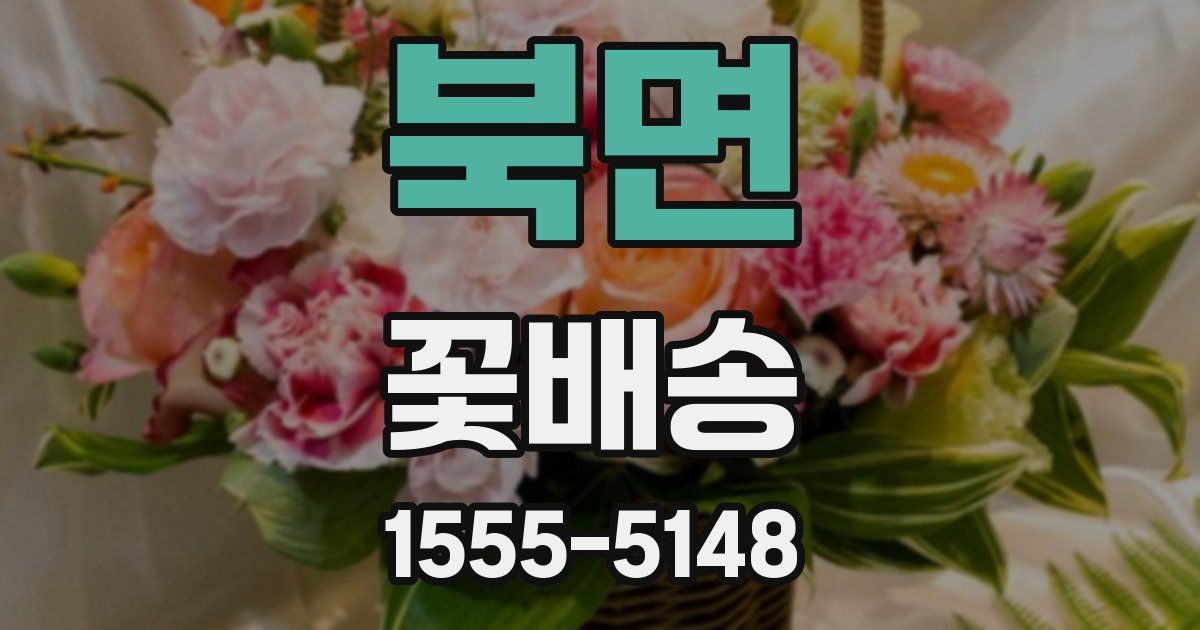북면 꽃배송