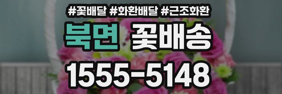 북면 꽃배송