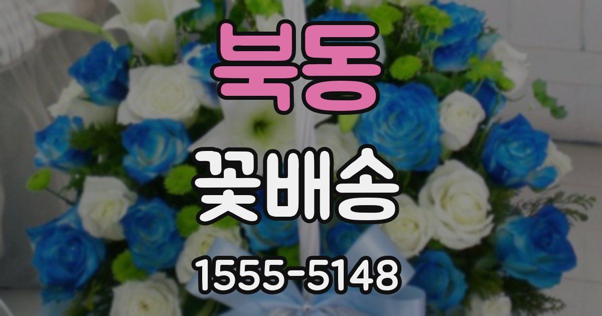 북동 꽃배송