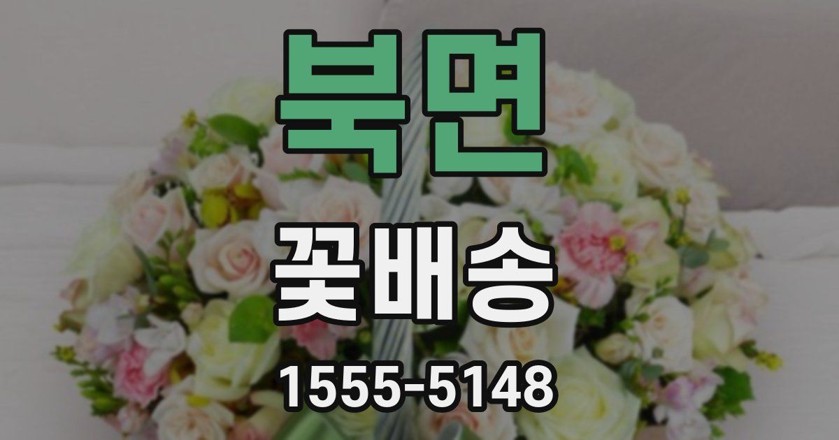 북면 꽃배송