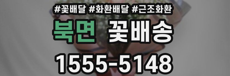 북면 꽃배송