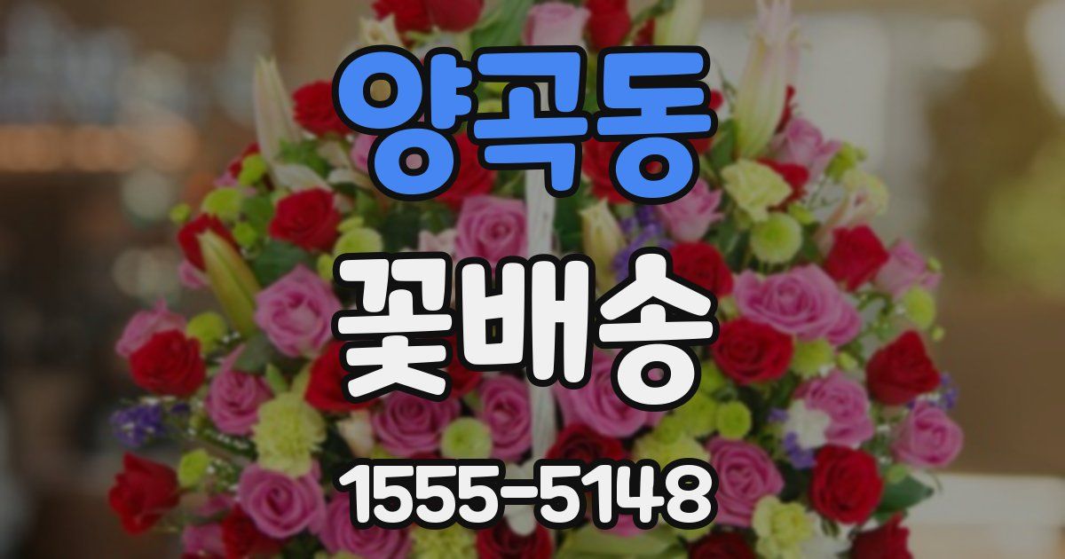 양곡동 꽃배송