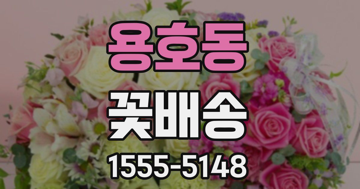 용호동 꽃배송
