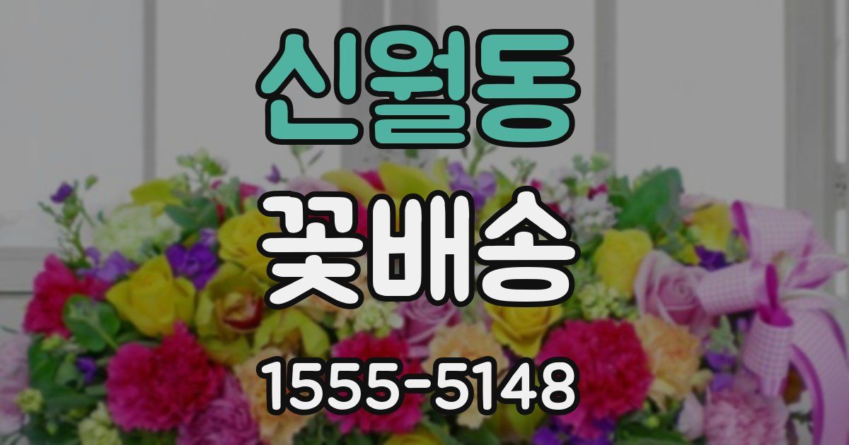 신월동 꽃배송