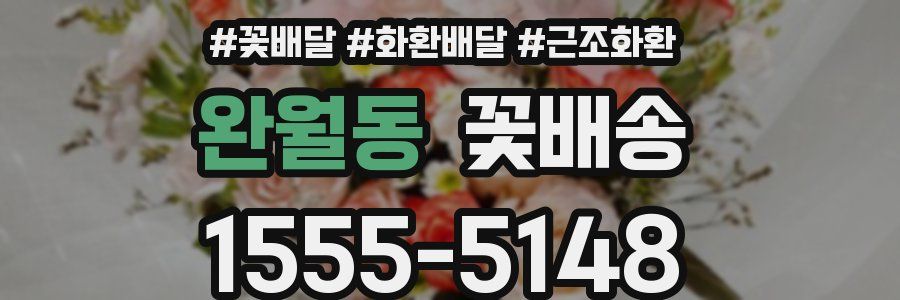 완월동 꽃배송