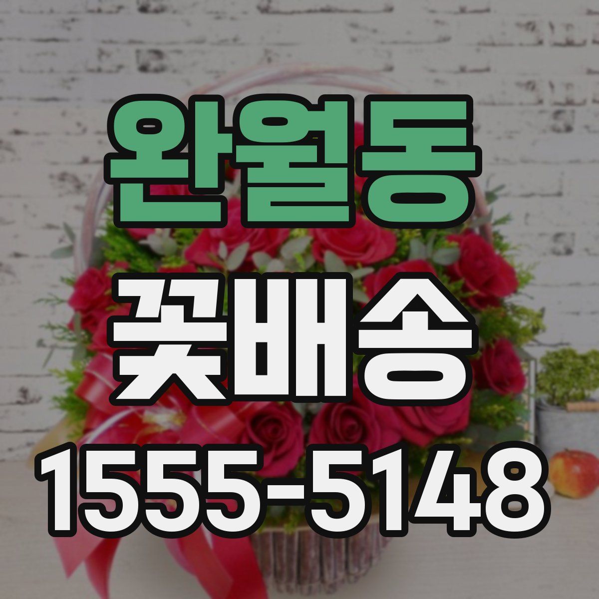 완월동 꽃배송