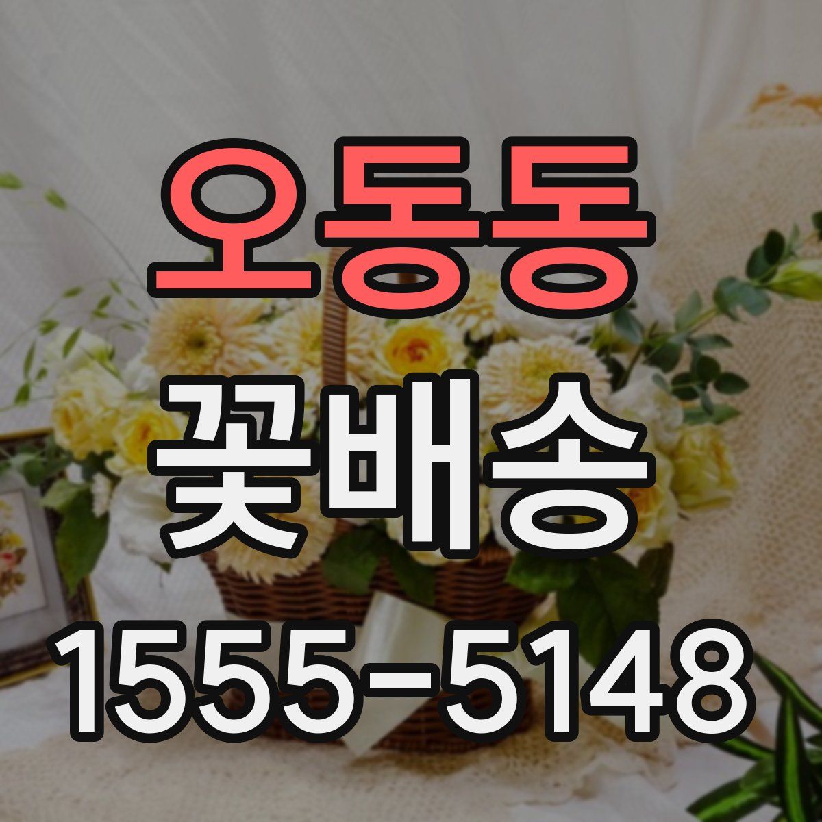 오동동 꽃배송