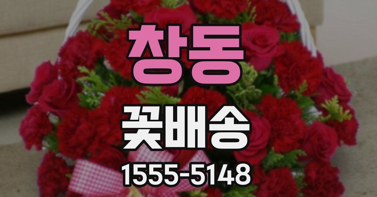 창동 꽃배송