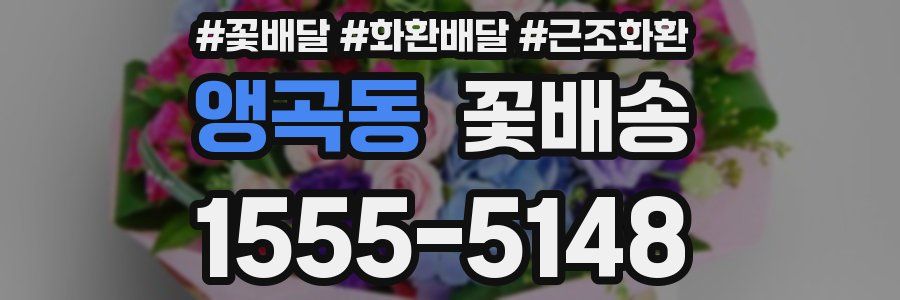 앵곡동 꽃배송