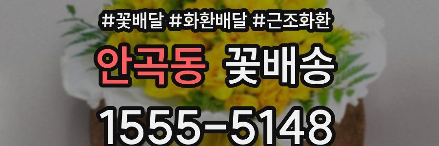 안곡동 꽃배송