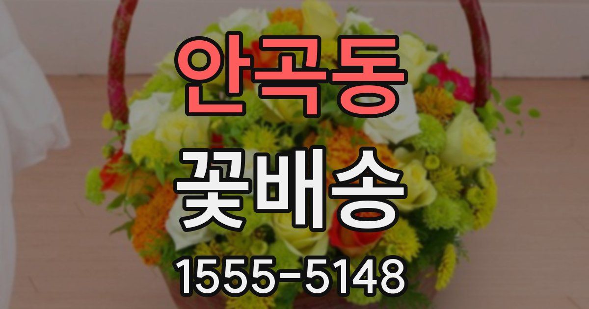 안곡동 꽃배송