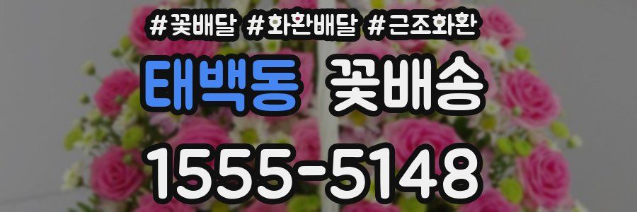 태백동 꽃배송