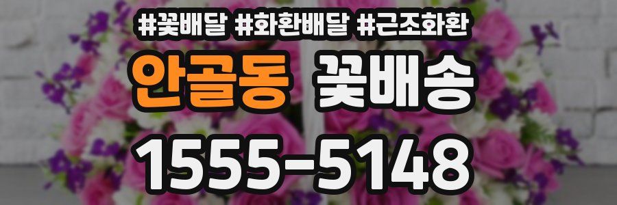 안골동 꽃배송