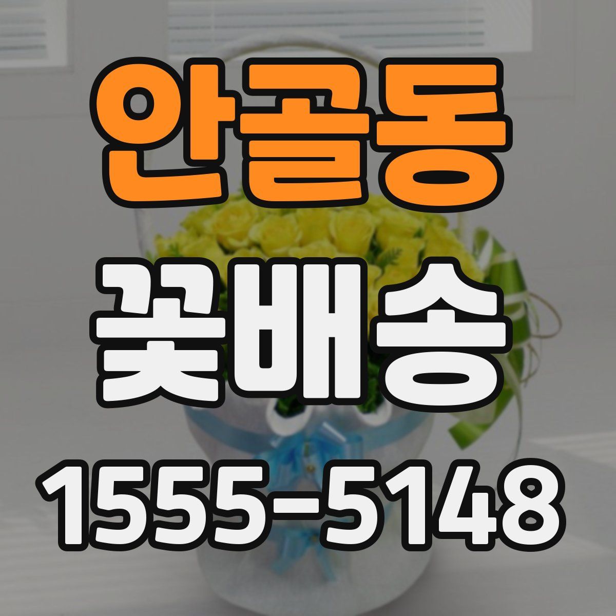 안골동 꽃배송