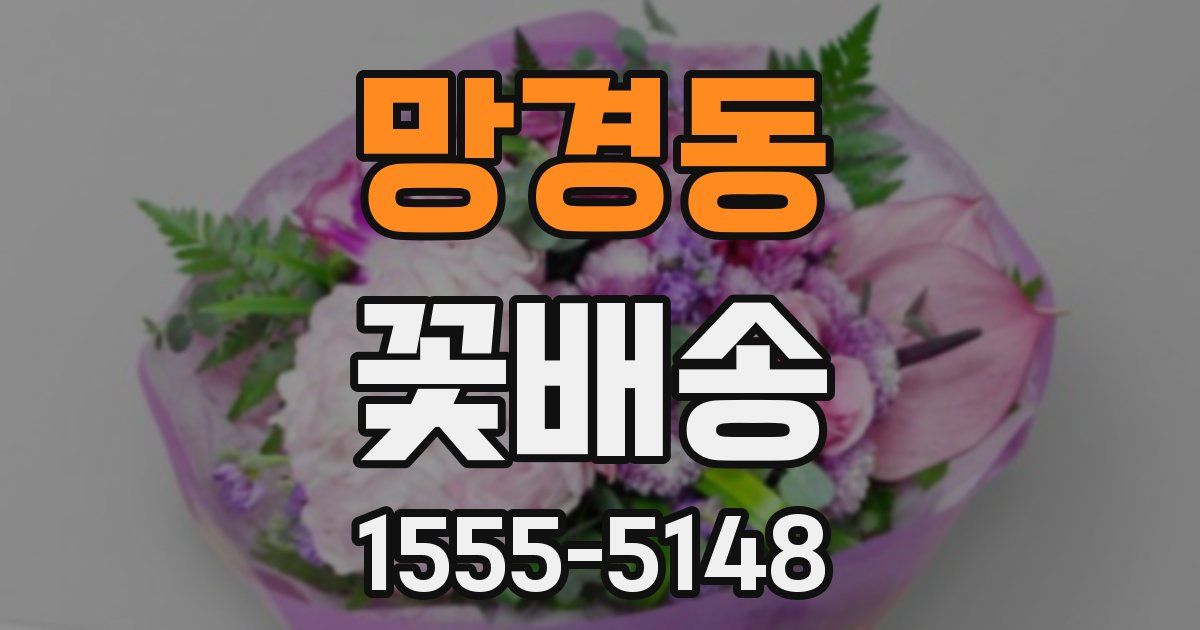 망경동 꽃배송