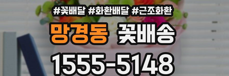 망경동 꽃배송