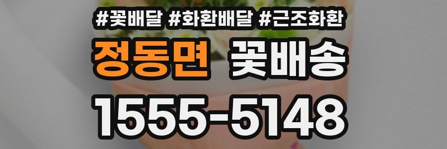 정동면 꽃배송