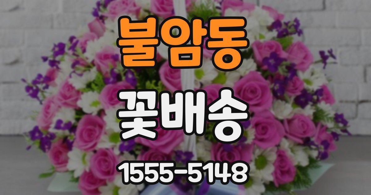 불암동 꽃배송