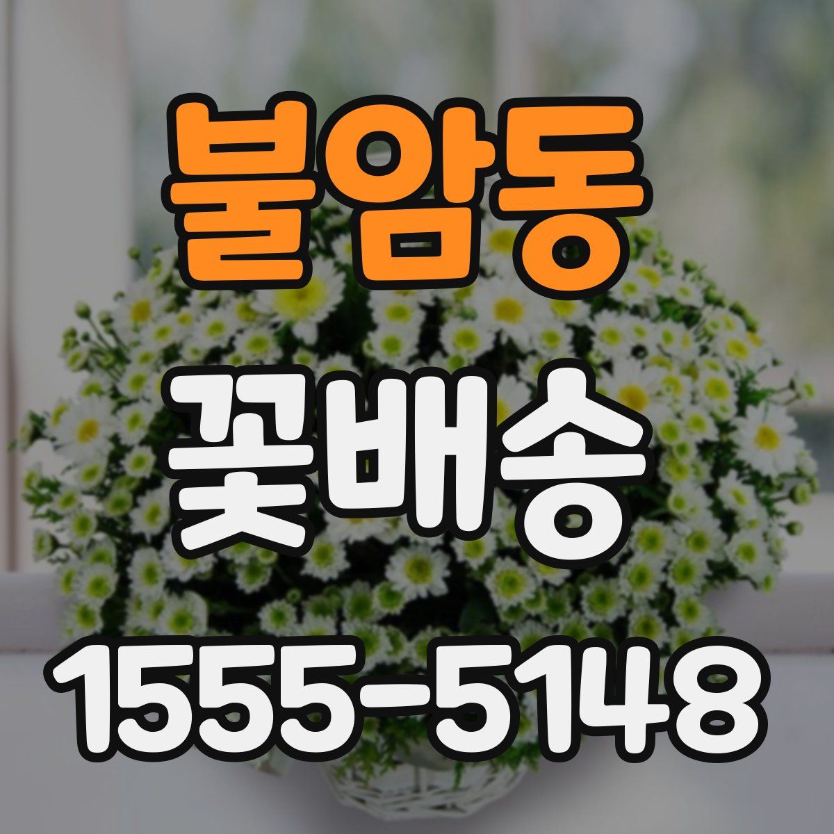 불암동 꽃배송