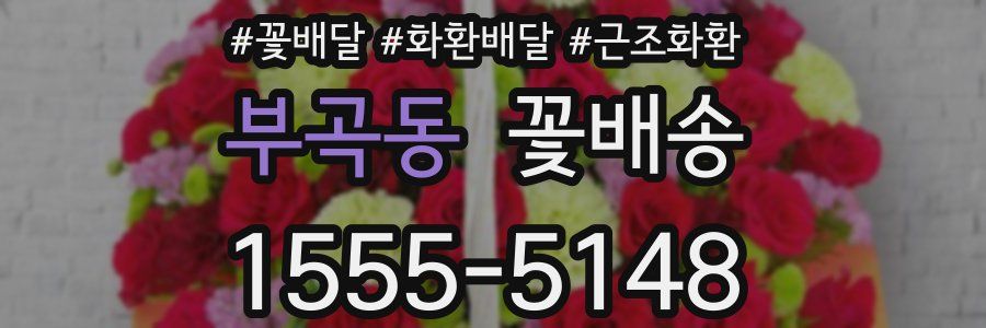 부곡동 꽃배송