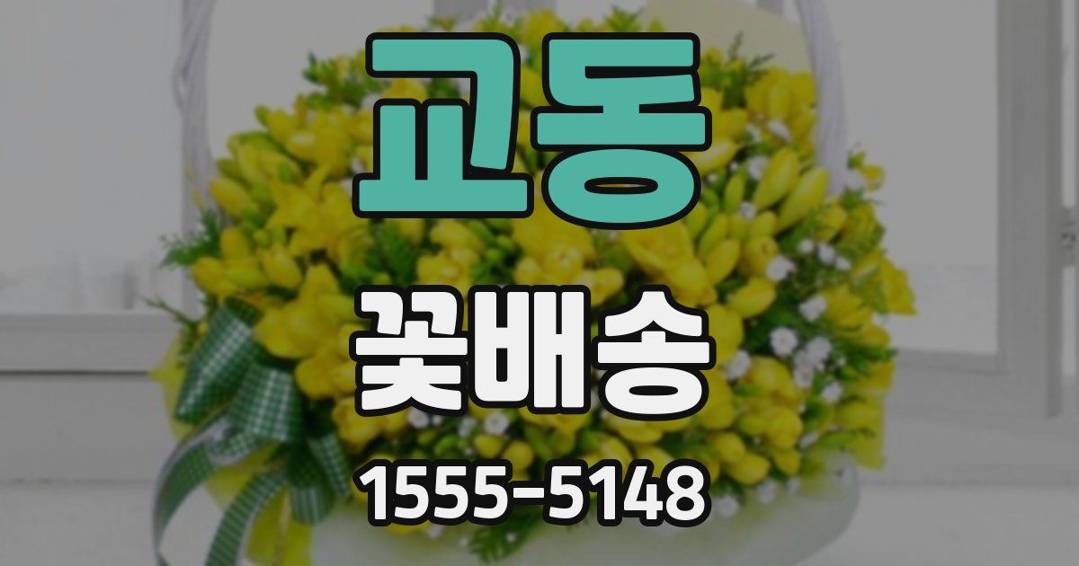 교동 꽃배송