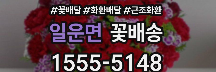 일운면 꽃배송