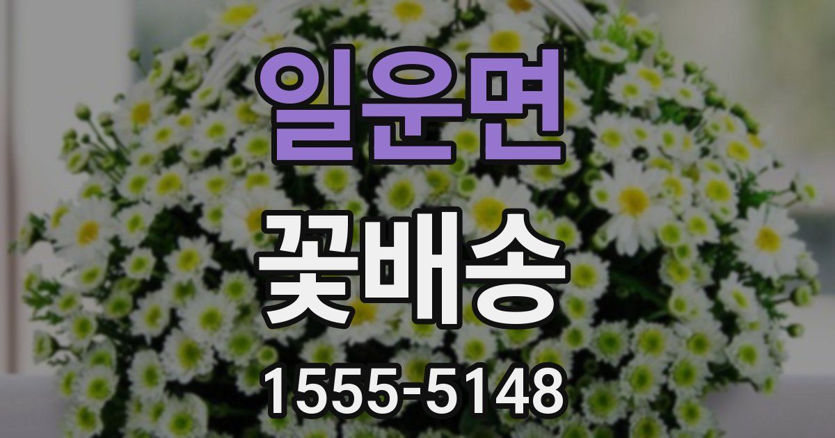 일운면 꽃배송