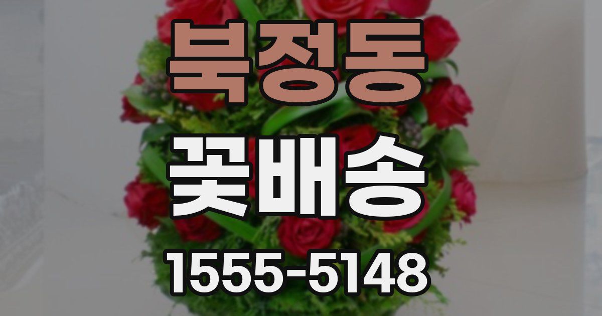 북정동 꽃배송