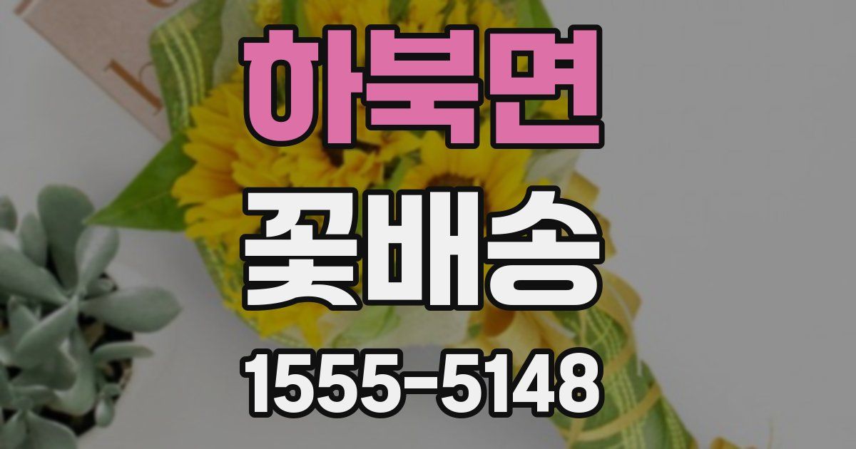 하북면 꽃배송