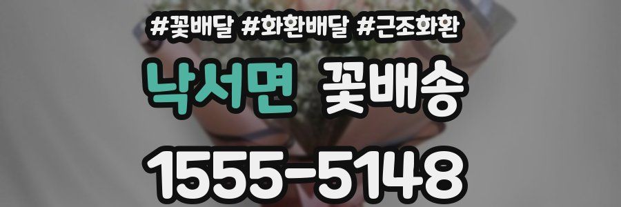낙서면 꽃배송