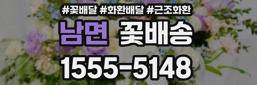남면 꽃배송